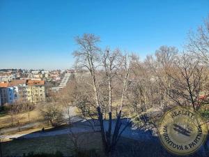 Pronájem bytu 1+kk, Praha - Břevnov, Nad Závěrkou, 20 m2