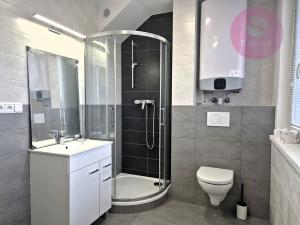 Pronájem bytu 2+kk, Ostrava, Bohumínská, 46 m2