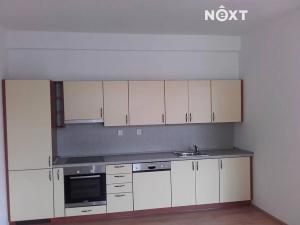 Pronájem bytu 1+kk, Černý Důl, 46 m2
