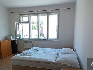 Pronájem bytu 1+kk, Uherský Brod, Mariánské nám., 25 m2