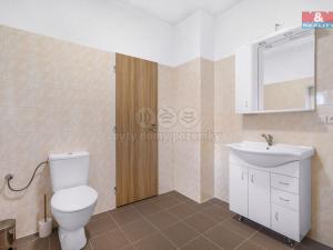 Pronájem bytu 1+kk, Plazy, 24 m2