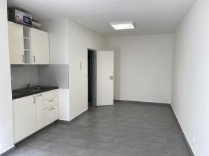Pronájem bytu 1+kk, Brno, Křenová, 25 m2