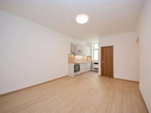 Pronájem bytu 1+kk, Praha - Nové Město, Vyšehradská, 23 m2
