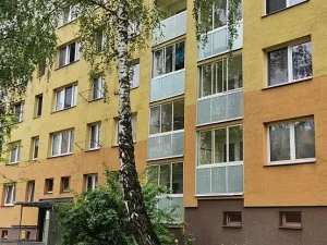 Prodej bytu 3+1, Havířov, Mládí, 68 m2