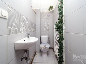 Prodej bytu 2+1, Plzeň, Lipová, 66 m2