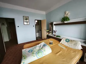 Prodej bytu 2+1, Litvínov, Koldům, 49 m2