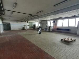 Dražba výrobních prostor, Nížkov, 7316 m2