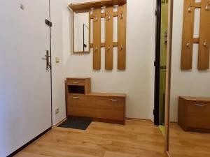Pronájem bytu 1+kk, Brno, 27 m2