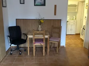 Pronájem bytu 1+kk, Černolice, Hlavní, 30 m2