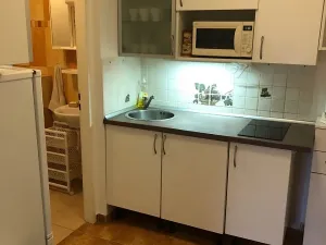Pronájem bytu 1+kk, Černolice, Hlavní, 30 m2
