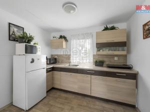 Prodej rodinného domu, Dolní Beřkovice, Dolní hájek, 43 m2