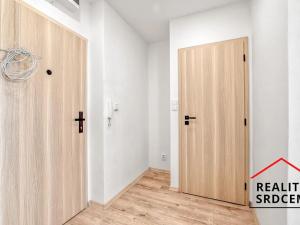 Pronájem bytu 1+1, Karviná, Nedbalova, 42 m2