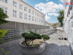 Pronájem kanceláře, Praha - Nové Město, Krakovská, 300 m2