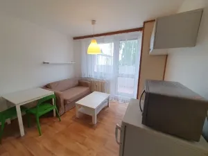 Pronájem bytu 1+1, Jihlava, Březinova, 42 m2