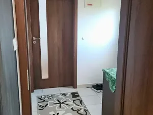 Pronájem rodinného domu, Olšany u Prostějova, 55 m2