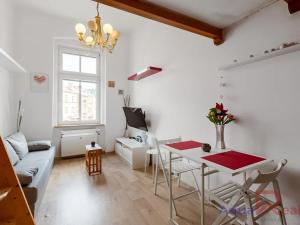 Pronájem bytu 1+kk, Karlovy Vary, nábřeží Jana Palacha, 20 m2