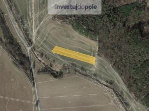 Prodej pole, Drahobuz, 3091 m2