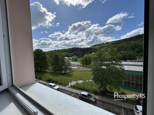 Pronájem bytu 1+1, Děčín - Děčín IX-Bynov, Na Pěšině, 35 m2