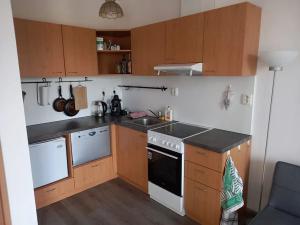 Pronájem bytu 1+kk, Neveklov, náměstí Jana Heřmana, 40 m2