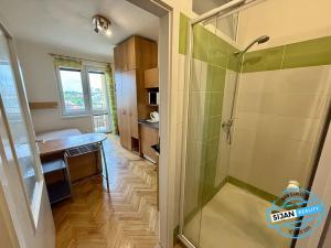 Pronájem bytu 1+kk, Opava, Haškova, 14 m2