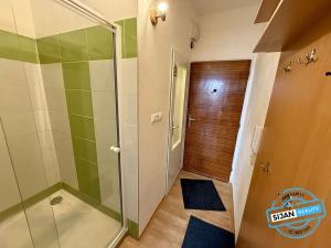 Pronájem bytu 1+kk, Opava, Haškova, 14 m2