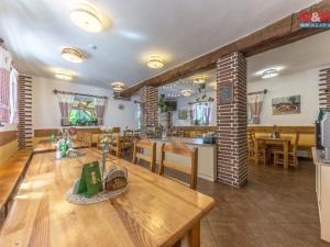 Prodej chaty, Benecko, 1480 m2