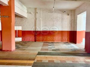 Pronájem skladu, Plzeň, Jateční, 500 m2