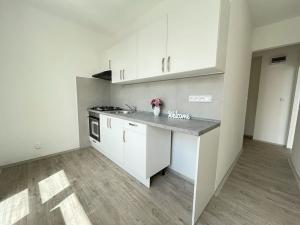Pronájem bytu 2+1, Litvínov, Ruská, 59 m2