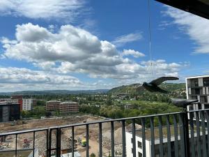 Pronájem bytu 2+kk, Praha - Modřany, Mezi vodami, 58 m2