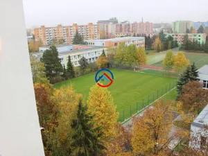 Pronájem bytu 1+1, Olomouc, Heyrovského, 31 m2