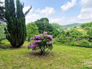 Prodej chaty, Albrechtice, 32 m2