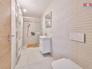 Prodej bytu 2+kk, Černý Důl, 42 m2