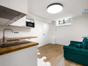 Pronájem bytu 2+kk, Brno, Olší, 36 m2