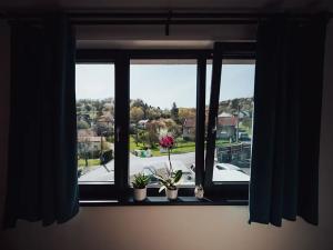 Pronájem bytu 2+kk, Zlín, Pančava, 28 m2