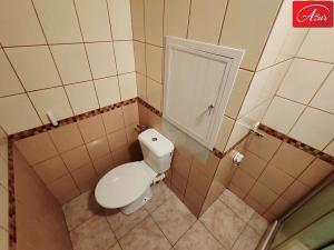 Prodej bytu 2+1, Teplice, Alejní, 53 m2