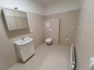 Pronájem bytu 1+kk, Jihlava, Křižíkova, 58 m2