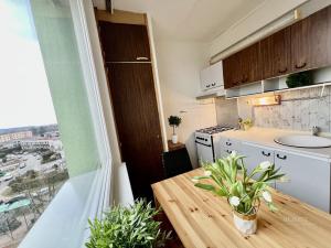 Pronájem bytu 1+1, Jičín - Nové Město, Na jihu, 32 m2