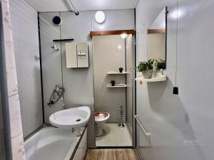 Pronájem bytu 1+1, Jičín - Nové Město, Na jihu, 32 m2
