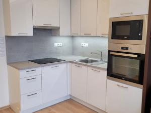 Pronájem bytu 1+kk, Praha - Stodůlky, Mukařovského, 30 m2