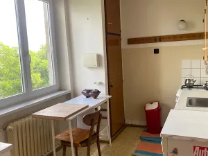 Prodej bytu 2+1, Praha - Žižkov, Pod lipami, 54 m2