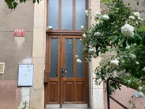 Prodej bytu 2+1, Praha - Žižkov, Pod lipami, 54 m2