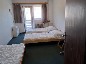 Prodej ubytování, Frymburk, 750 m2