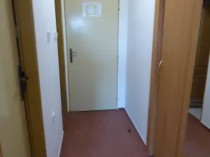 Pronájem bytu 1+kk, Brno, Heršpická, 23 m2