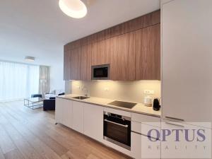 Pronájem bytu 2+kk, Praha - Smíchov, Holečkova, 76 m2