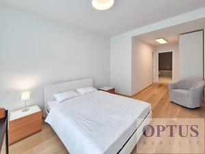 Pronájem bytu 2+kk, Praha - Smíchov, Holečkova, 76 m2