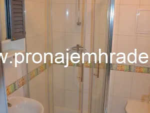 Pronájem bytu 1+1, Hradec Králové, Na Pastvinách, 35 m2