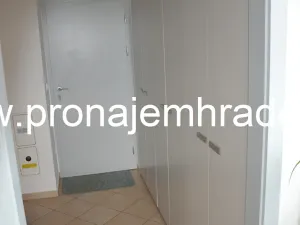 Pronájem bytu 1+1, Hradec Králové, Na Pastvinách, 35 m2