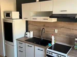 Pronájem bytu 1+kk, Ostrava, 28. října, 48 m2