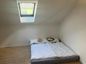 Pronájem bytu 1+kk, Ostrava, 28. října, 48 m2