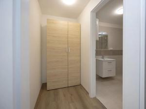 Pronájem bytu 2+kk, Olomouc, Bořivojova, 93 m2